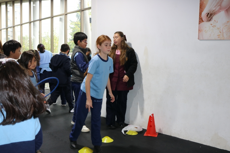 Día de la Actividad Física